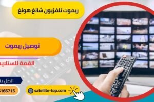 ريموت تلفزيون تشانغ هونغ 