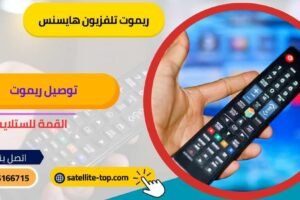 ريموت تلفزيون هايسنس